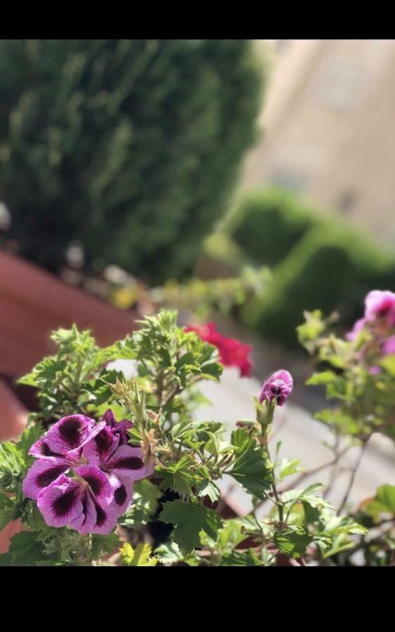 Tilal Almadina Hotel & Suites Amman Luaran gambar